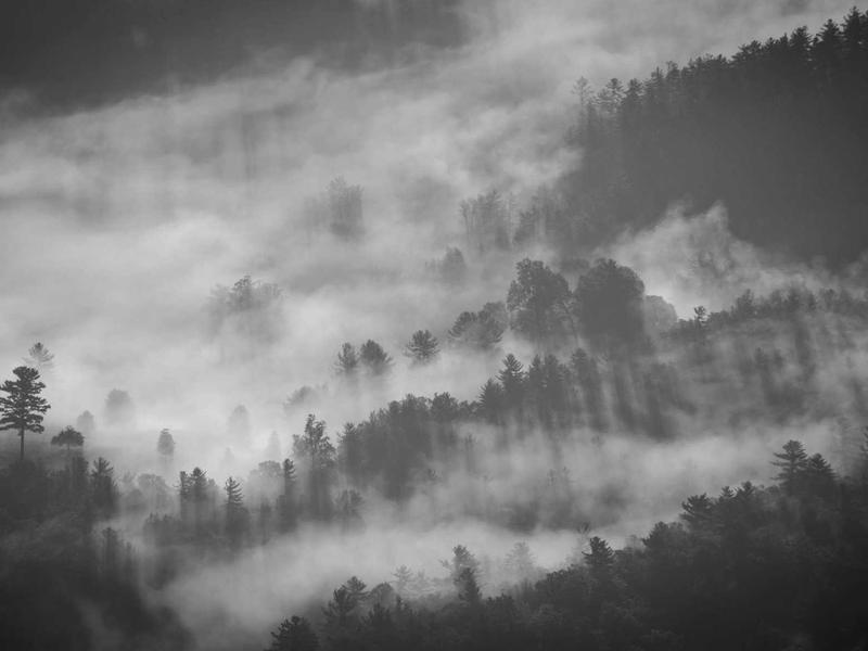光之教堂<br>gitbuvf.cn 安藤忠雄十字架